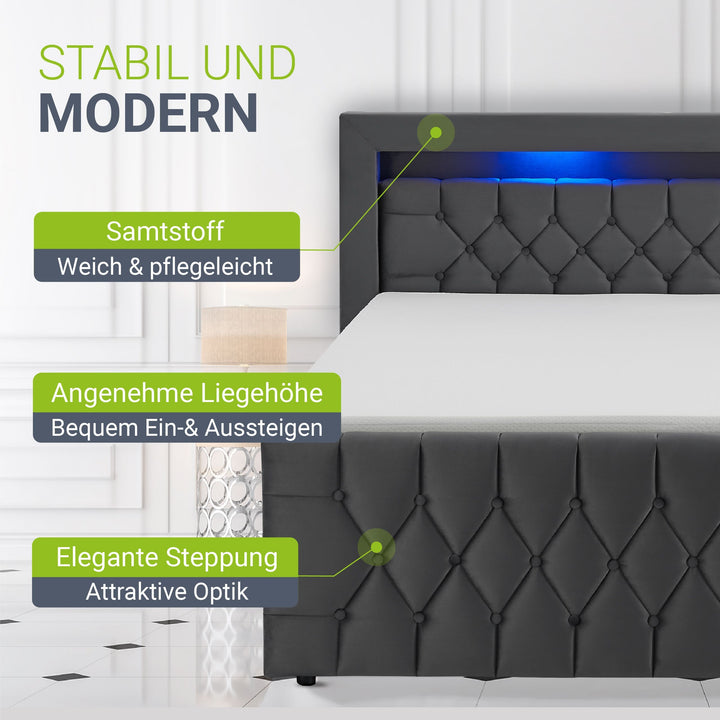 Boxspringbett Leona - Samt