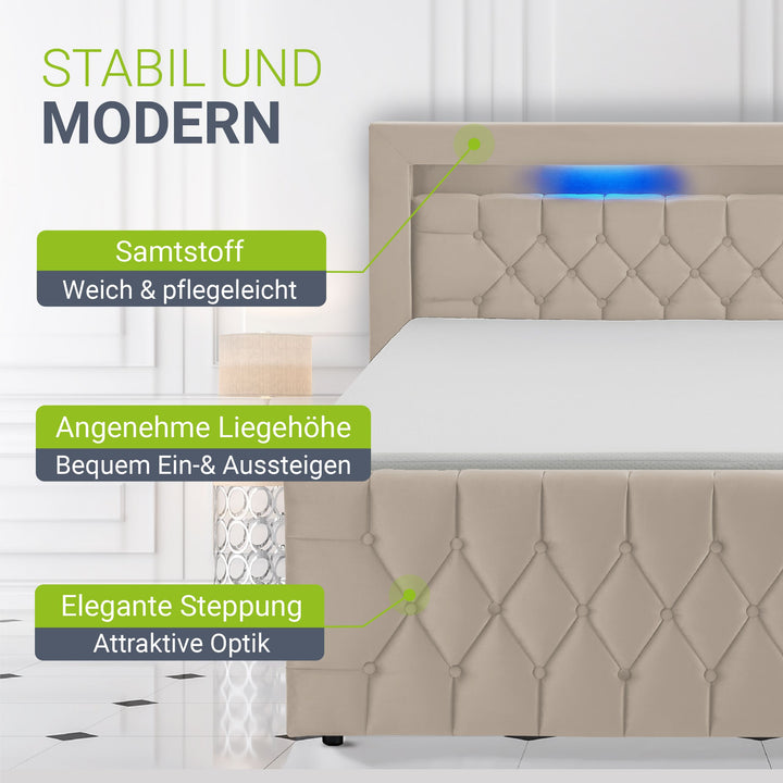 Boxspringbett Leona - Samt