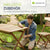 Gartenmöbel-Set Rimini aus Akazienholz