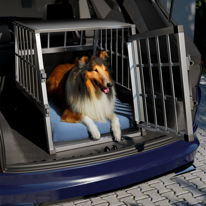 Aluminium Hundetransportbox