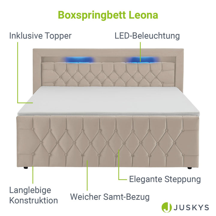 Boxspringbett Leona - Samt