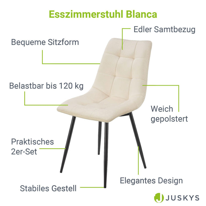 Esszimmerstuhl Blanca mit Samtbezug