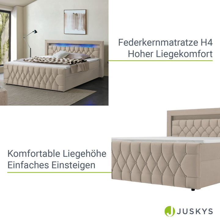 Boxspringbett Leona - Samt